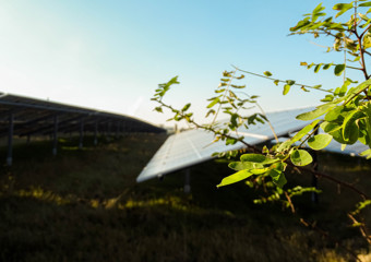 Panneaux solaires