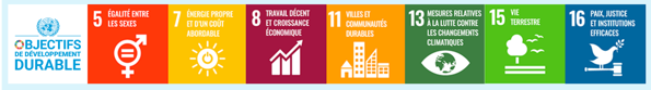 Objectifs developpement durable ONU