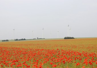 Parc éolien Conteville-Garcelles-Secqueville