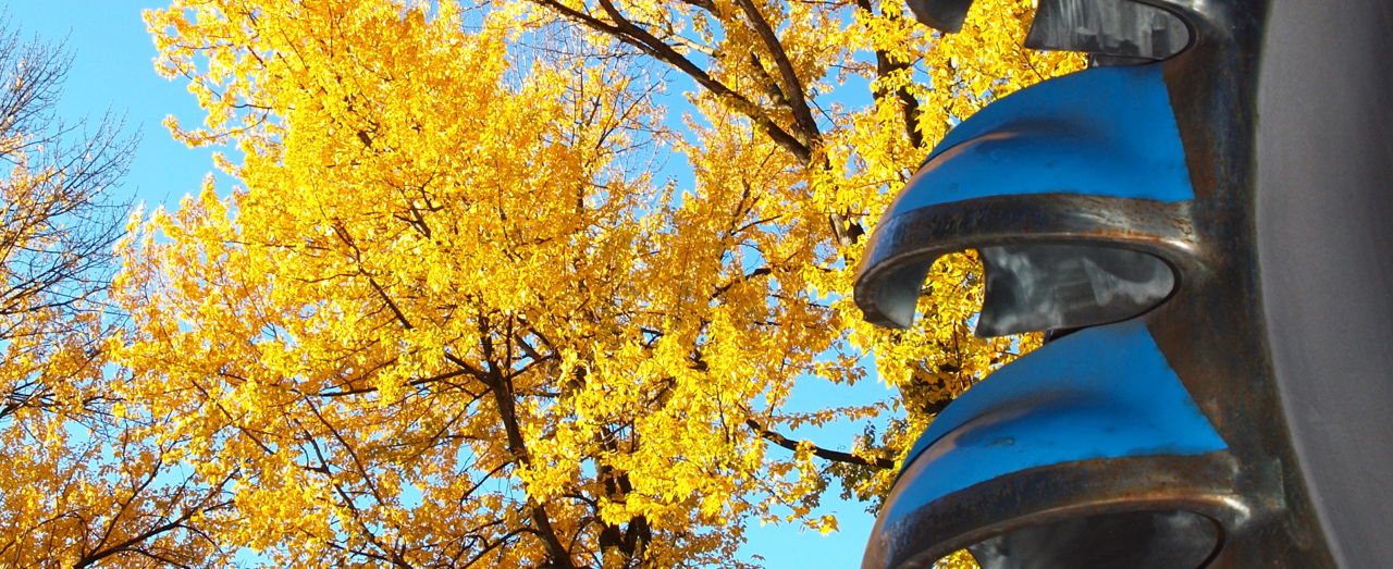 arbre jaune