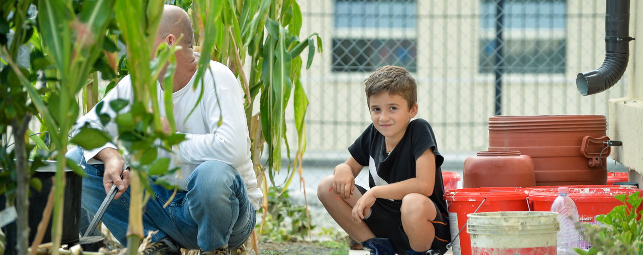 enfant assis homme olivier