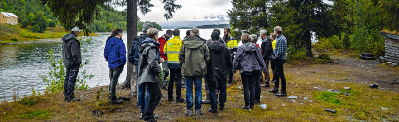 groupe de personnes rivière arbres